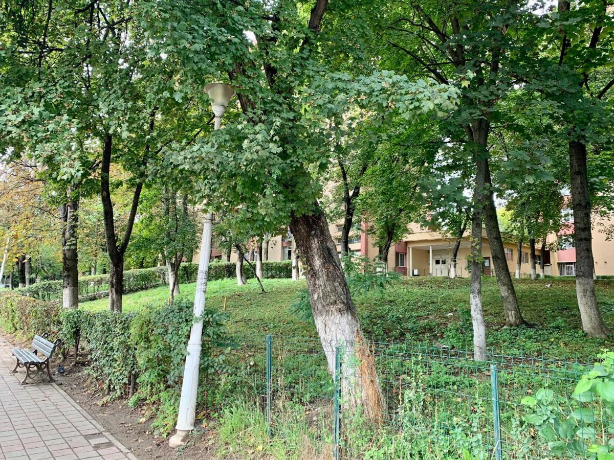 Luand Apartament Iasi Exterior foto